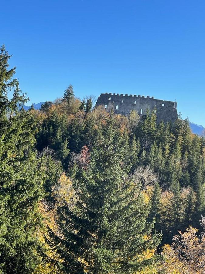 Feriendomizil Ebner-Mayer Pfronten Exterior photo